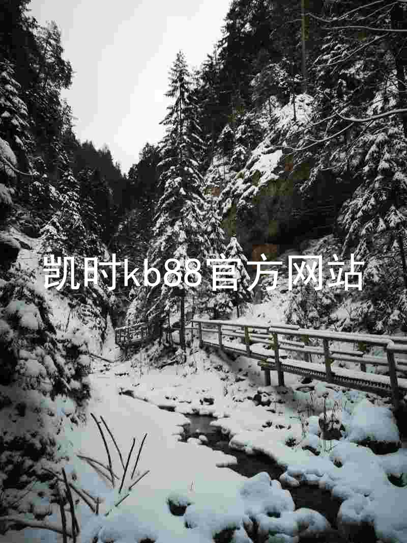 凯时kb88官方网站
